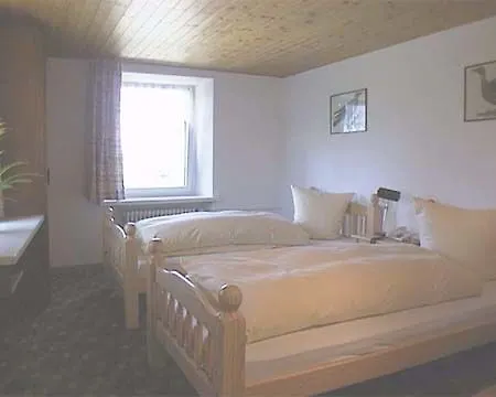 호텔 Heidihof 2*